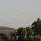 The first group of paratroopers jumping from the Hercules transporters near the National Liberation Museum at 1,000 meters from our site - PBØAEZ ©