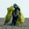 PEØGRD (Gerard) just after his succesfull landing with his paraglider at our special event site - PA3DYA ©