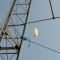 PEØGRD (Gerard) with his paraglider flight above our antenna park - PA3DYA ©
