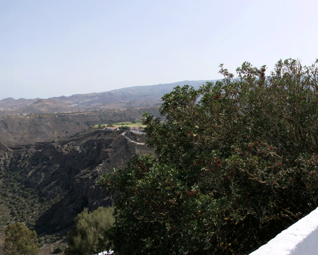 Canary Islands