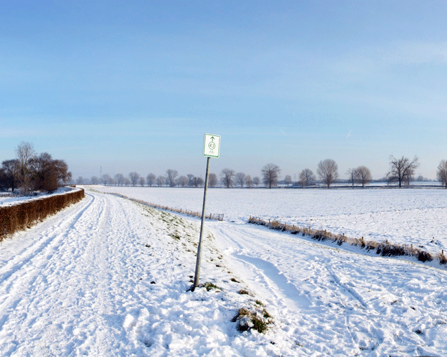 The Netherlands