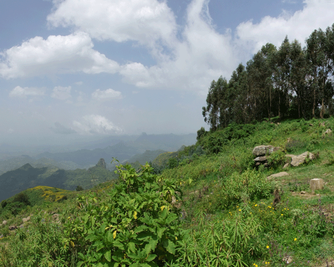 Ethiopia