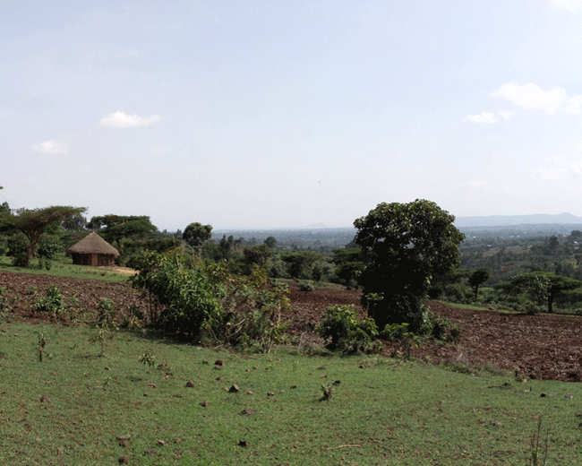 Ethiopia